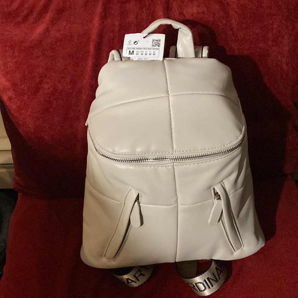 ZARA. Brand.          NOT ORDINARY backpack style purse handbag
